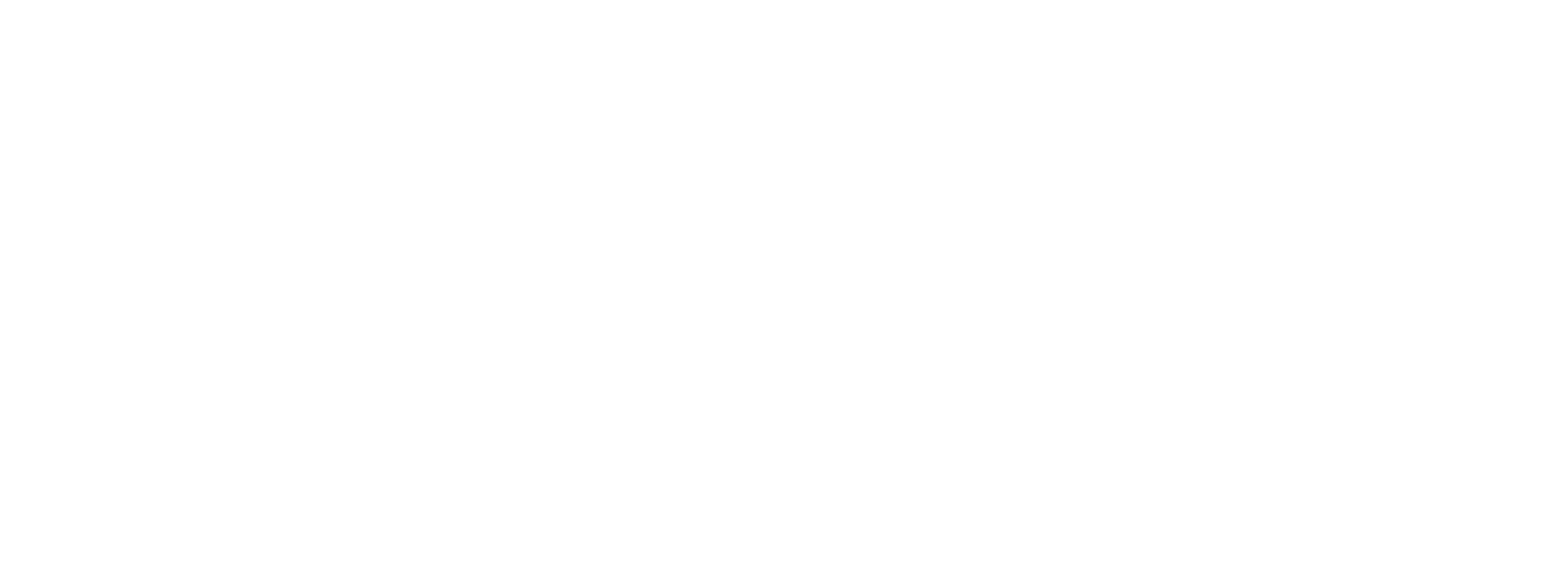 Tridum - White Logo