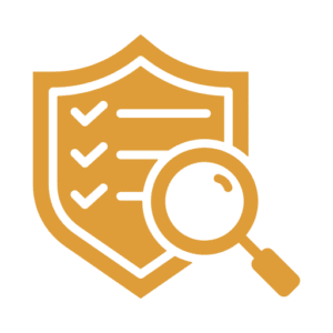 Vulnerability Assessment