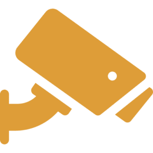 IP Surveillance